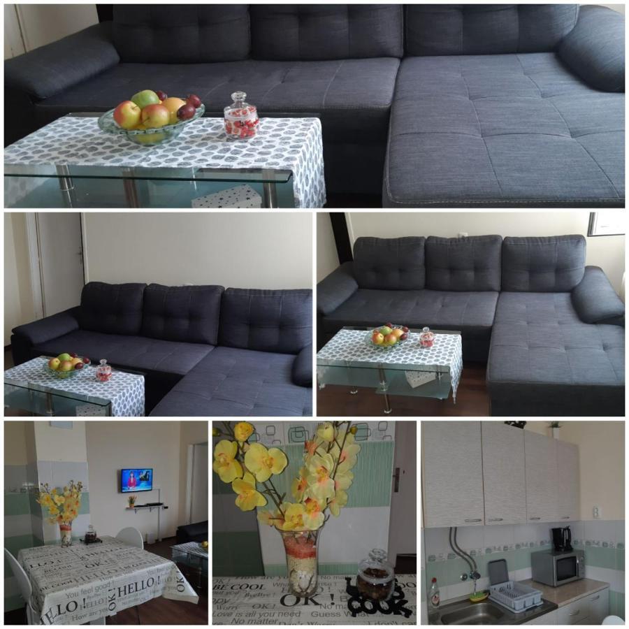 Sweet Home Danube Liman Apartment Novi Sad Extérieur photo