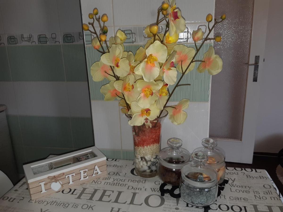 Sweet Home Danube Liman Apartment Novi Sad Extérieur photo